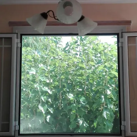 Apartman Zeus And Hera *